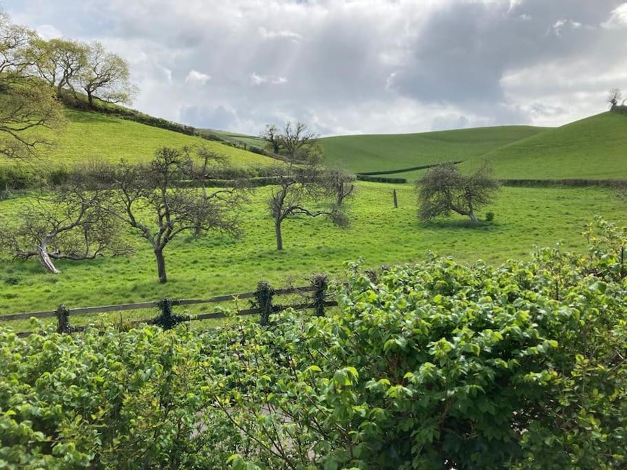 Charming Countryside Cottage Ground Floor Apartment In Combeinteignhead Devon Bishopsteignton Bagian luar foto
