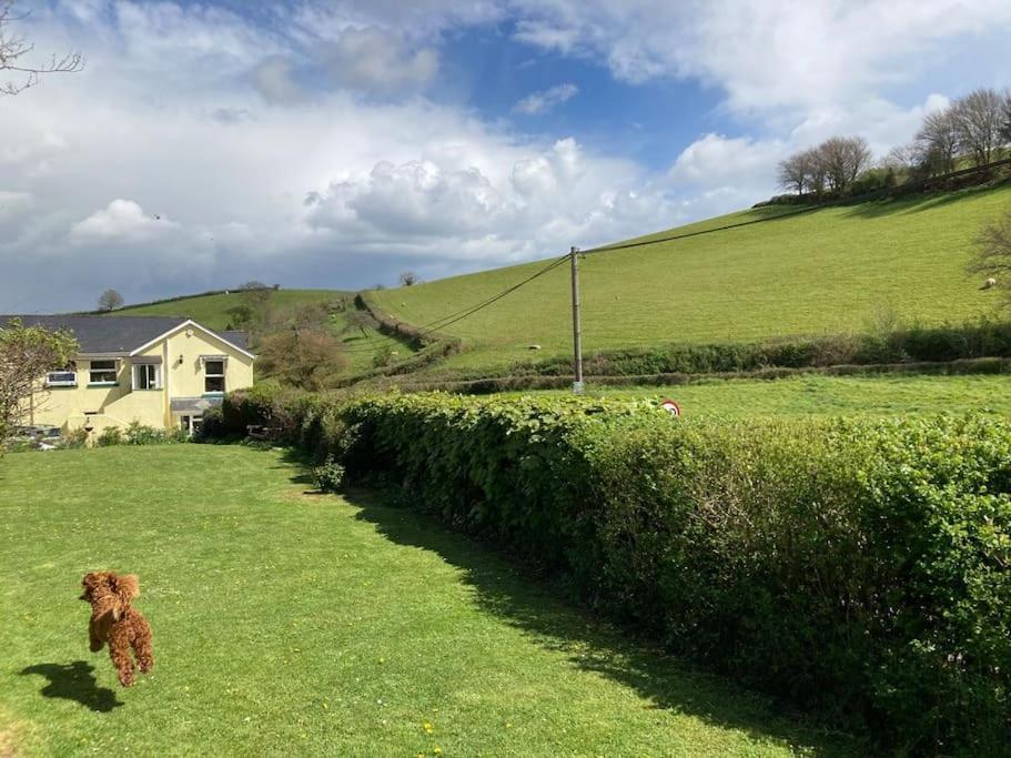 Charming Countryside Cottage Ground Floor Apartment In Combeinteignhead Devon Bishopsteignton Bagian luar foto